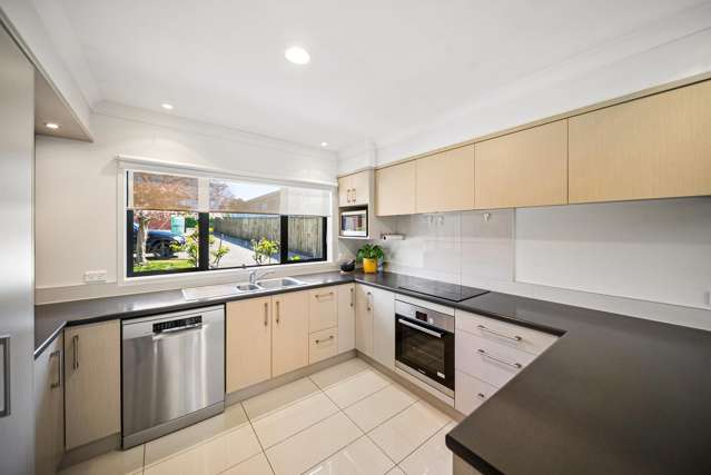 15A Mason Avenue Pukekohe_3