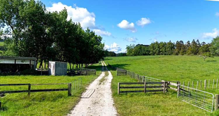 11 Pool Road Wellsford_5