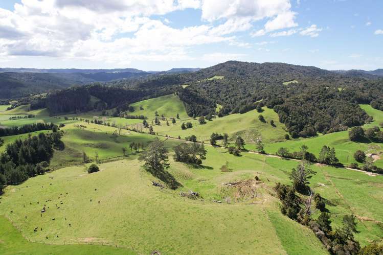 117 Pigs Head Road Whakapara_22