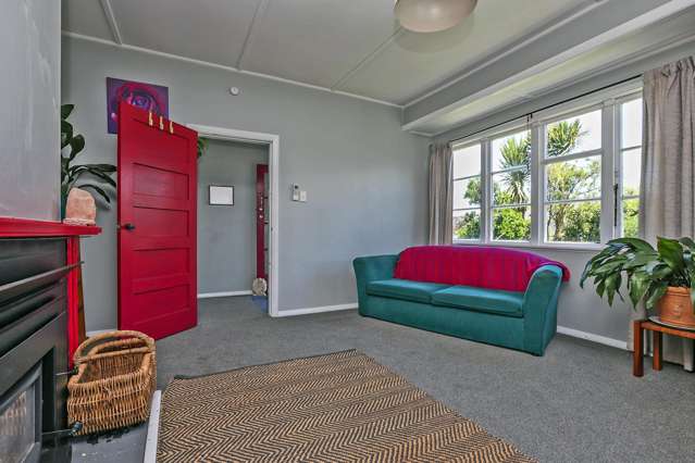 803 Tamatea Street Mahora_1