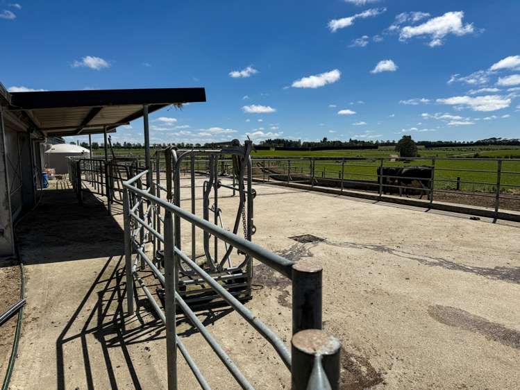 251 Rakahouka Hedgehope Road Mabel Bush_14