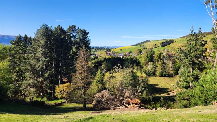 14 GULL STREET Waihola_6