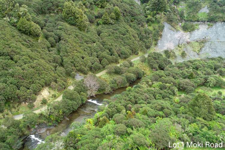 Lot 1 Moki Road, Tahora Taumarunui_19