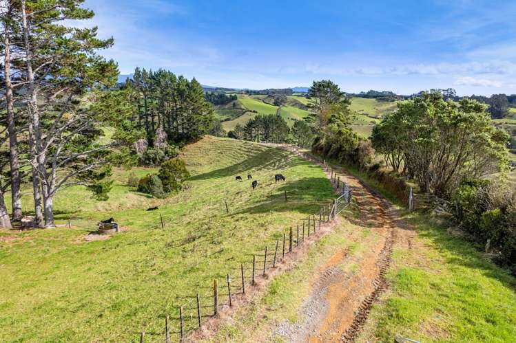 402 Hursthouse Road Tarurutangi_37