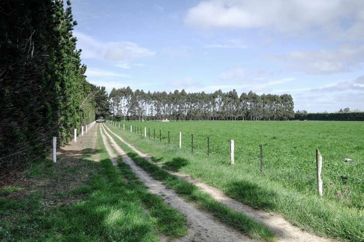 263 Oxford Road Fernside_15