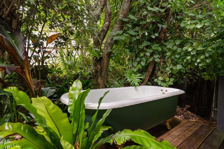 8 Thompson Terrace Toi Toi_22