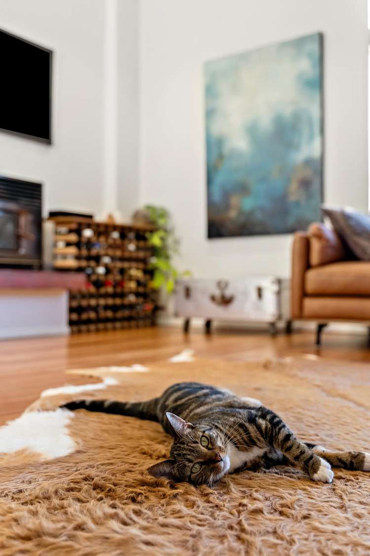 23 Blakeborough Drive Forrest Hill_4