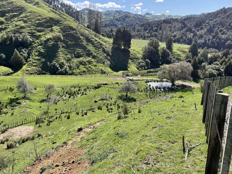 166 Saddler Road Ruapehu_11