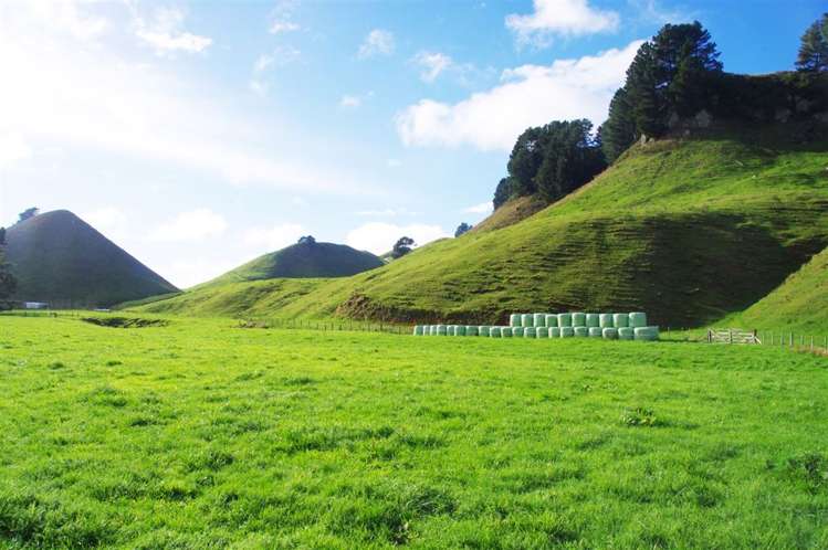 1943 Tutukau Road Wairakei and Surrounds_2