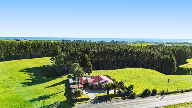 1606 South Road Oakura_3