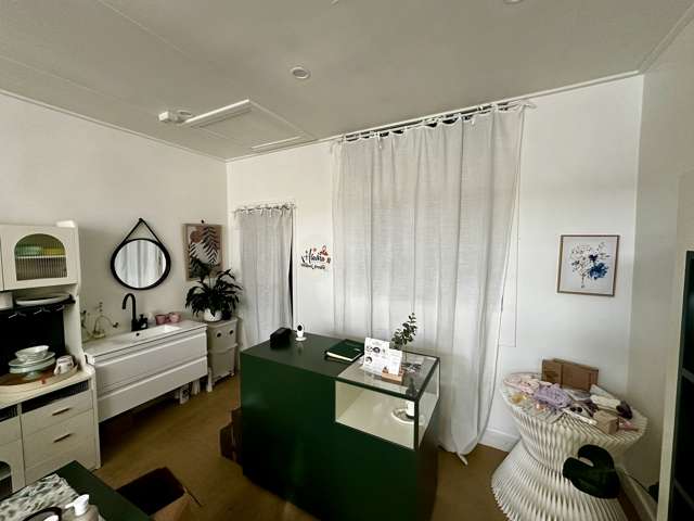 19 St Andrew Street Dunedin Central_3