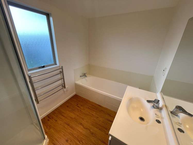 183b Massey Street Frankton_14