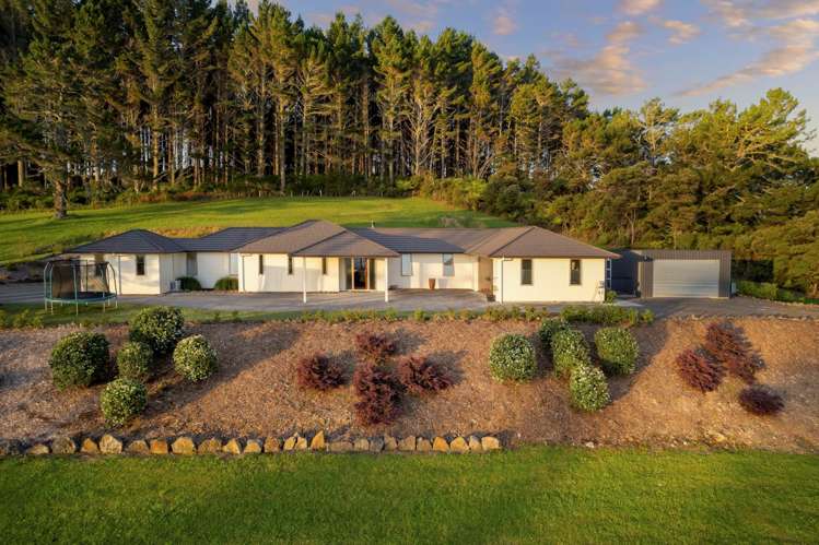 43d Terry Smyth Drive Kumeu_36