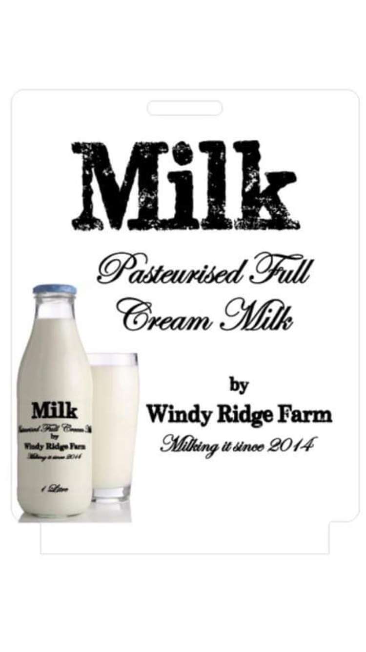 31 Windy Ridge Road_0