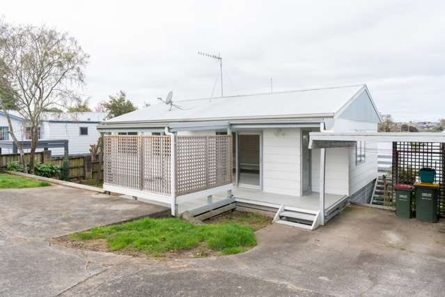 46a Pelorus Street Glenview_1