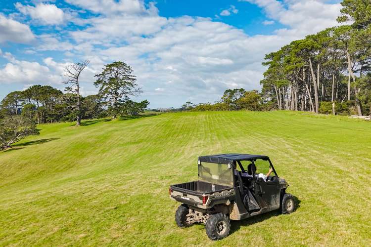 Lot 5/148-176 Waitakere Road_5