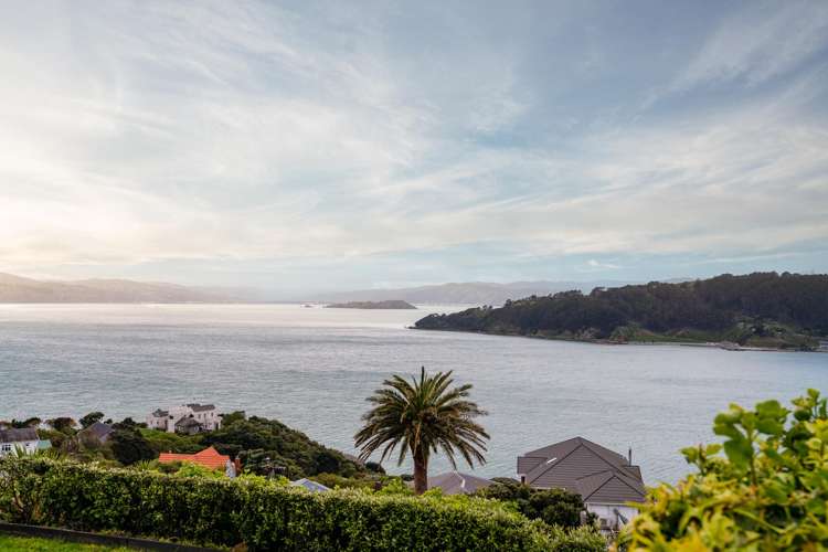 11/9 Arawa Road Hataitai_9