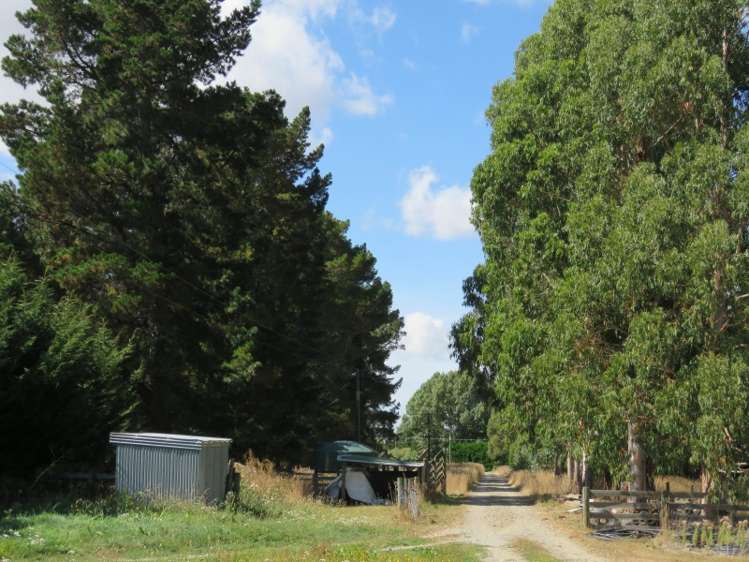 19 Station Road Loburn_15