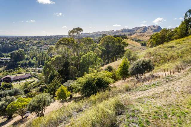 121 Endsleigh Drive Havelock North_2