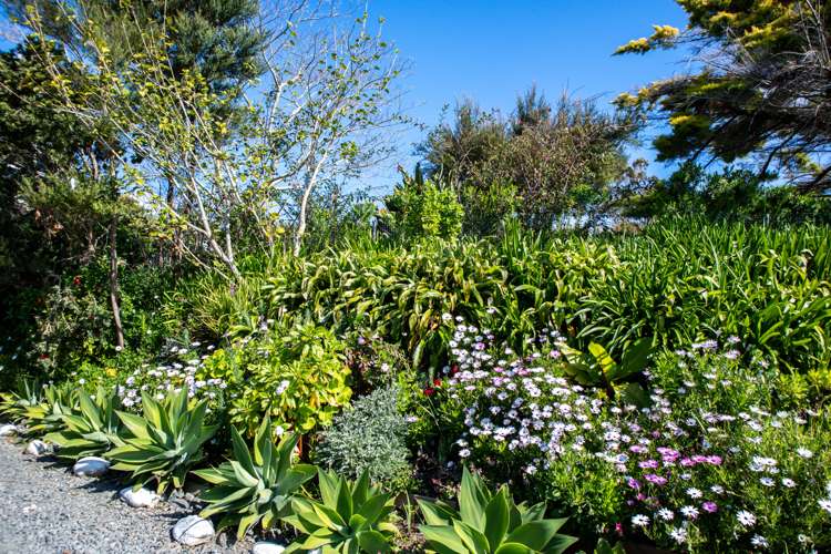 291 Hokianga Harbour Drive Omapere_57