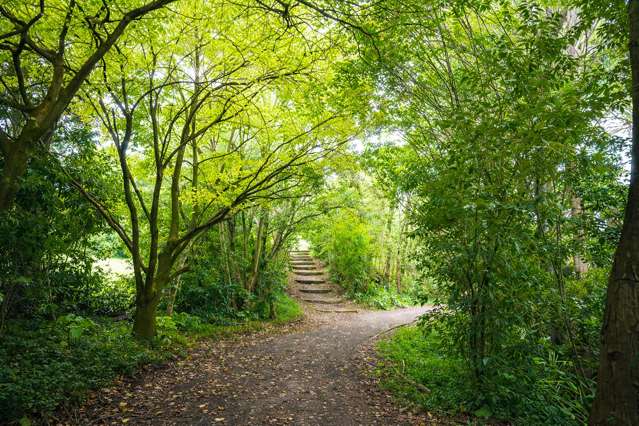 50 Kimihia Road Huntly_2