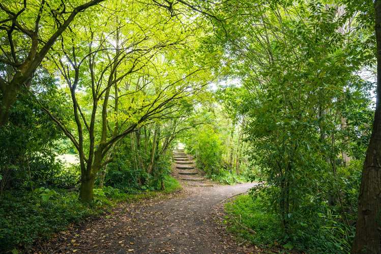 50 Kimihia Road Huntly_19