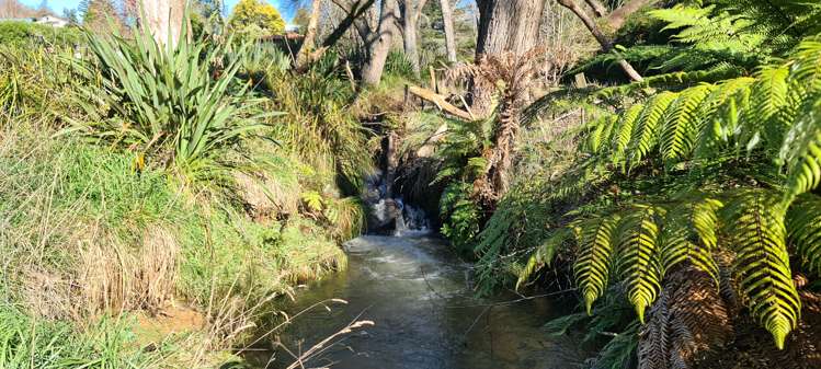 1899a State Highway 23 Whatawhata_9