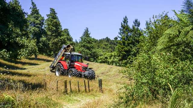 43b Walls Road Waihi_4