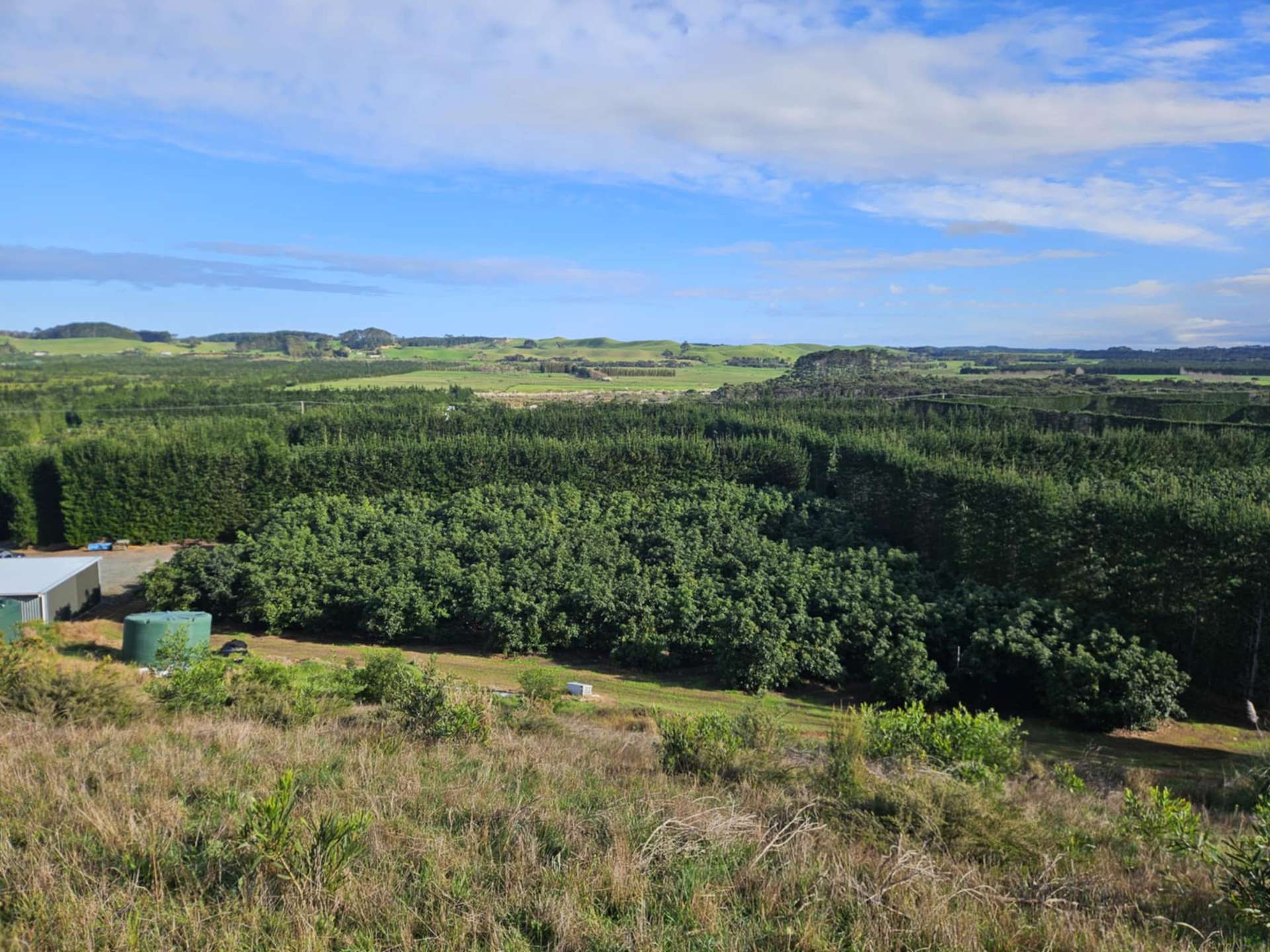 Heath Road Waiharara_0