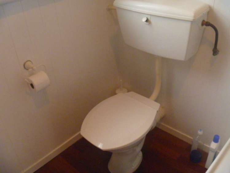 1a Samson Street Alexandra_14