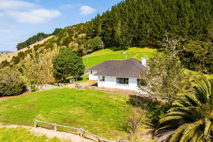 551 Tinopai Road Tinopai_14