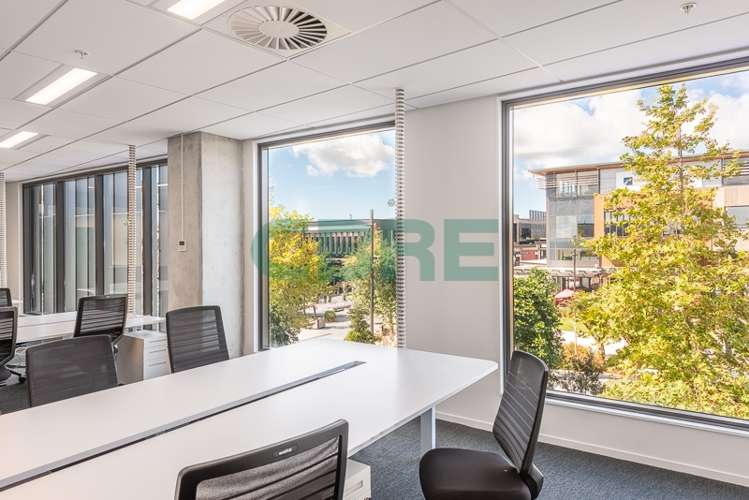 5 Kohuhu Lane Westgate_12