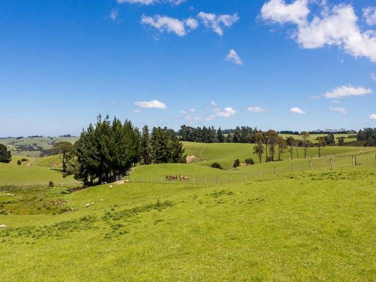 536 Circle Hill Road Milton_26