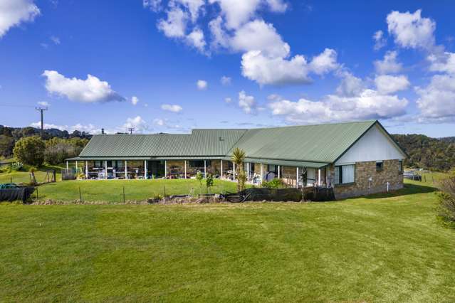 91 Trig Road Whitford_2