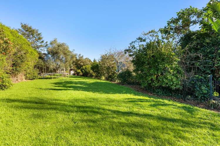 679 Runciman Road Drury_22