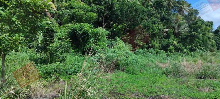 Address withheld Labasa_24