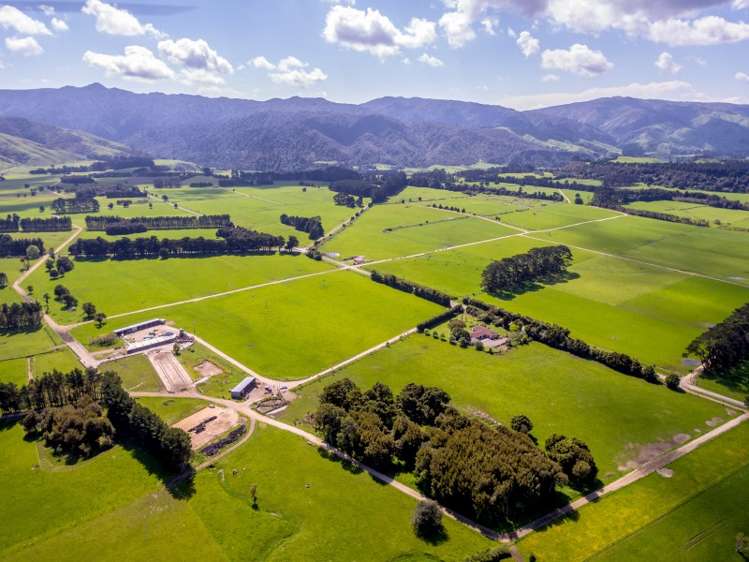 1125 Kakariki Road Eketahuna_11