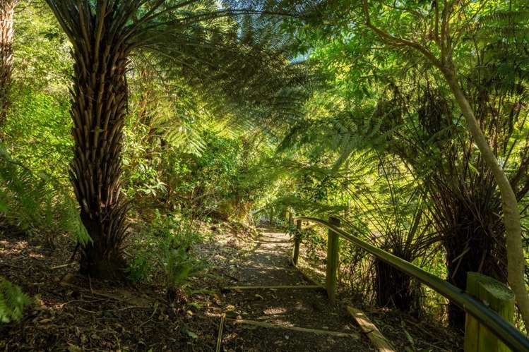 29 Manuka Drive Ngakuta Bay_34