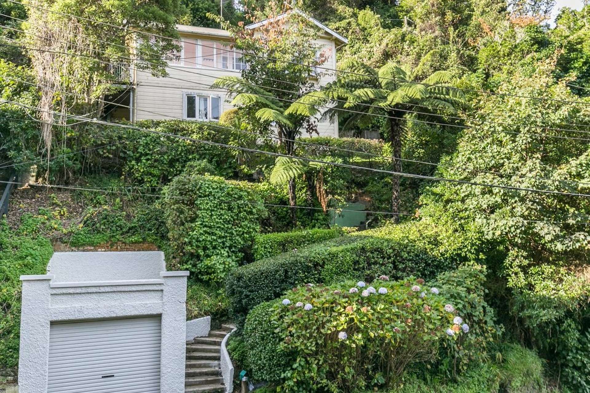 6 Governor Road Northland_0