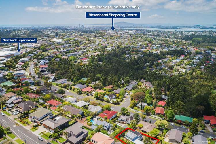 115 Chelsea View Drive Chatswood_8