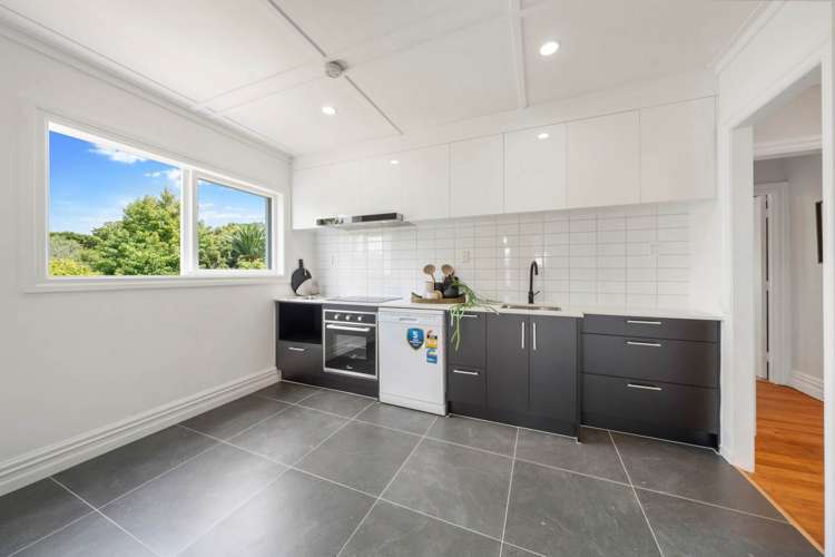 13 Belfast Street Hillsborough_11