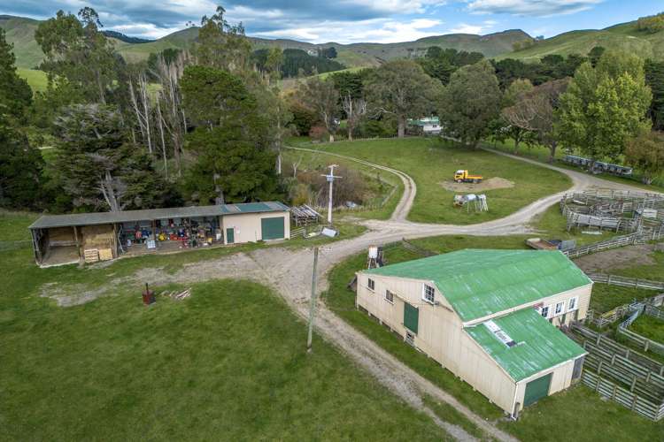 467 Waitahora Valley Road Dannevirke_43