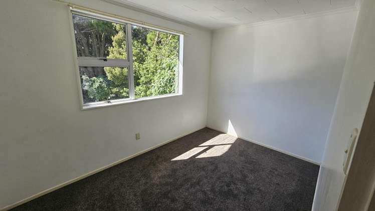 275a Carrington Street Vogeltown_10