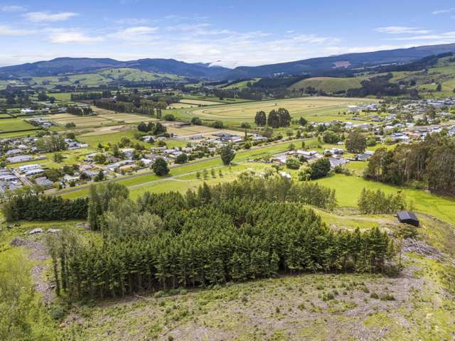 238 Gladstone Road Mosgiel_4