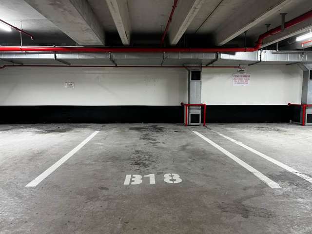 Carpark R, Albert Street City Centre_4