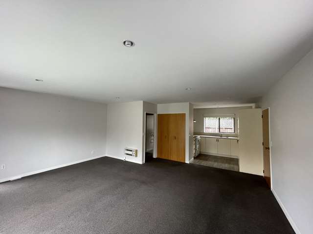 3/5 Craven Street Sockburn_4