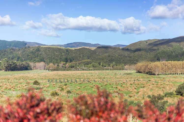 7 Margaret Mahy Drive Blue Mountains_21