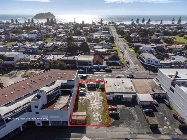 322 Maunganui Road Mt Maunganui_2
