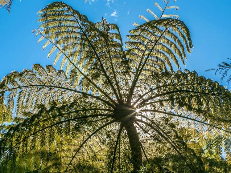 1679 Kenepuru Road Kenepuru Sound_11