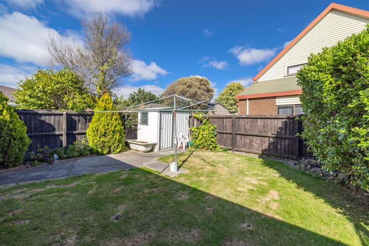 49 Briarmont Street Avondale_13